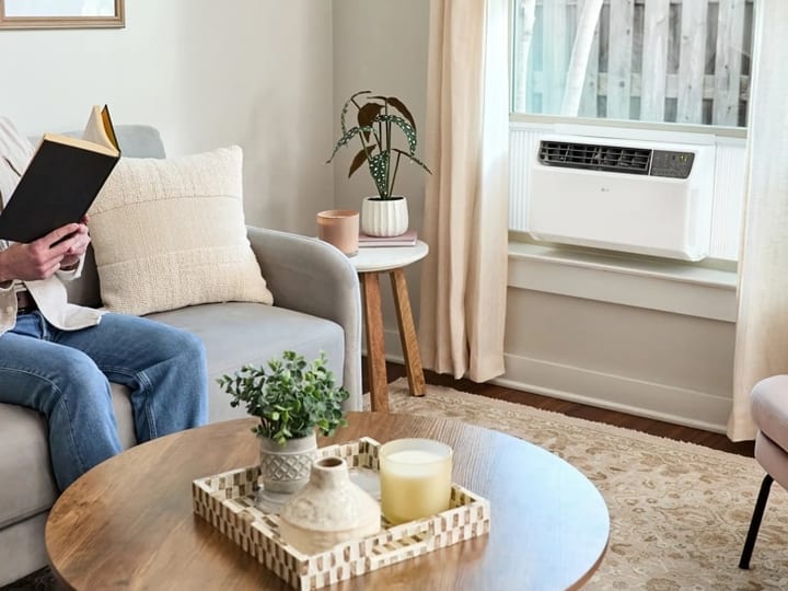 LG Dual Inverter Window AC, 12,000 BTU